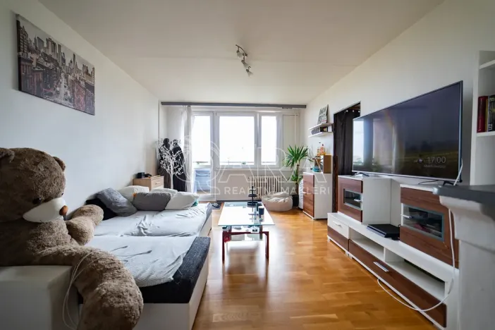 Prodej bytu 6+kk a větší, Praha - Záběhlice, Dunická, 376 m2