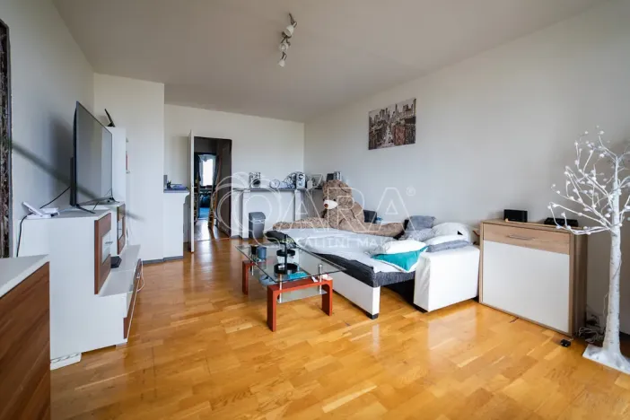 Prodej bytu 6+kk a větší, Praha - Záběhlice, Dunická, 376 m2