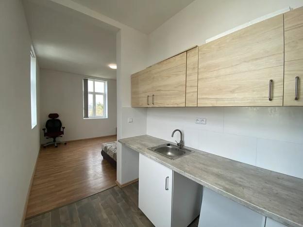 Pronájem bytu 1+kk, Čistá, 38 m2