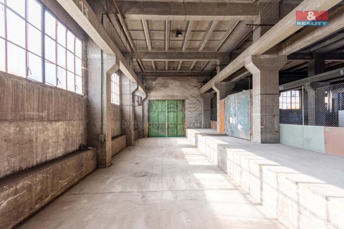 Pronájem výrobních prostor, Ostrava, 12000 m2