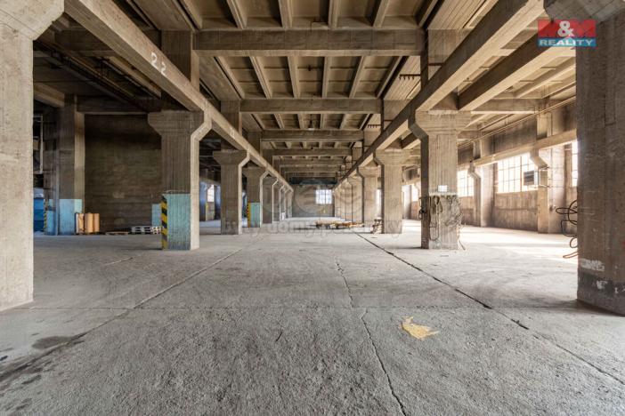 Pronájem výrobních prostor, Ostrava, 12000 m2