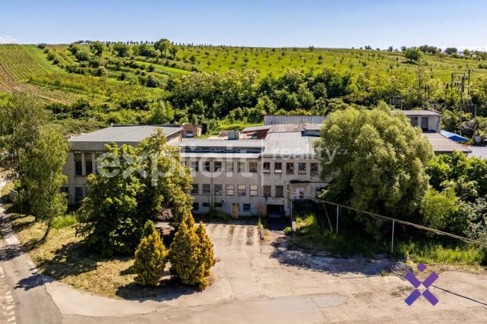 Prodej výrobních prostor, Šardice, 1837 m2