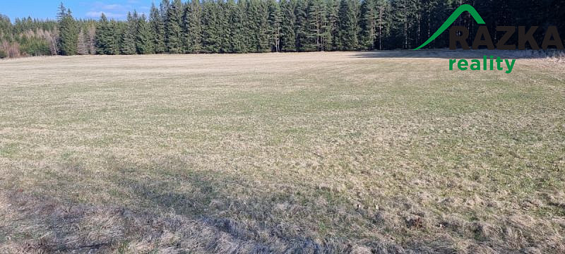 Prodej pole, Chodský Újezd, 42762 m2