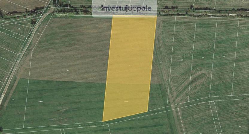 Prodej pole, Krušovice, 22900 m2