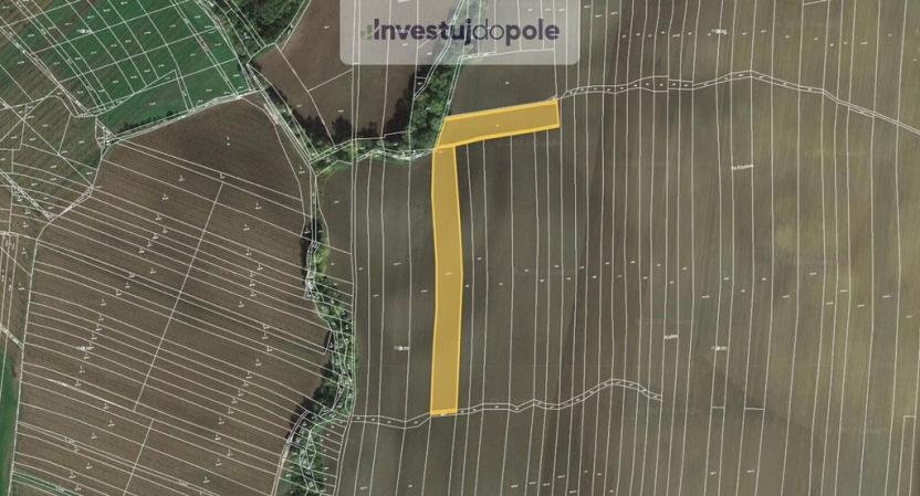 Prodej pole, Mutějovice, 6609 m2