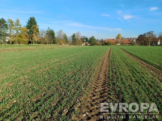 Prodej pozemku pro bydlení, Okrouhlo, 900 m2