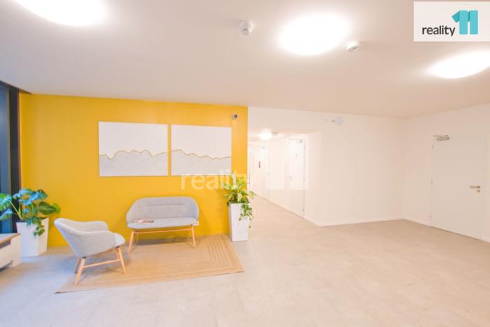 Pronájem bytu 1+kk, Liberec - Liberec III-Jeřáb, U Nisy, 33 m2