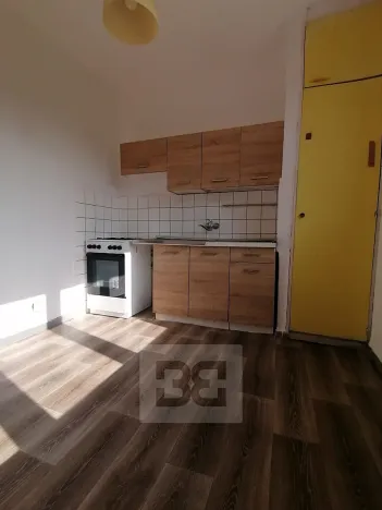 Pronájem bytu 1+1, Ostrava, Stadická, 40 m2