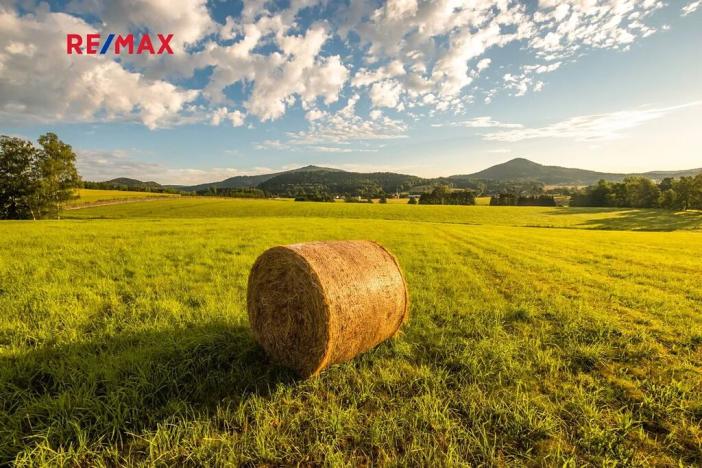 Prodej zemědělské usedlosti, Jablonné v Podještědí, 1000 m2