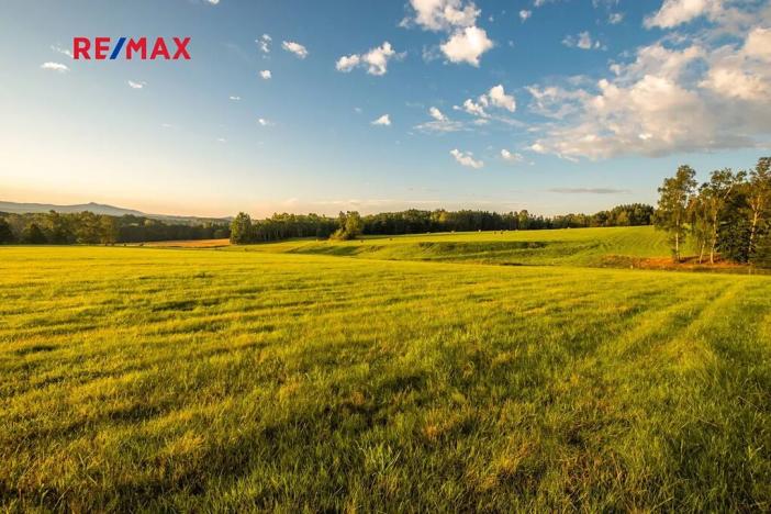 Prodej zemědělské usedlosti, Jablonné v Podještědí, 1000 m2