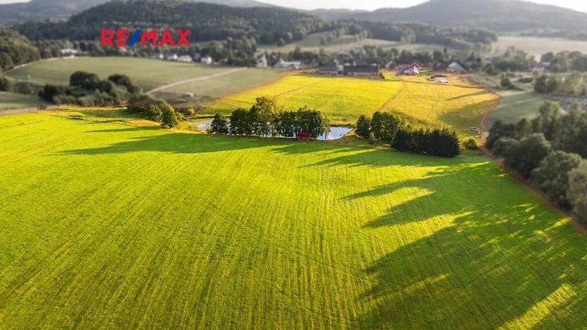 Prodej zemědělského objektu, Jablonné v Podještědí, 1000 m2