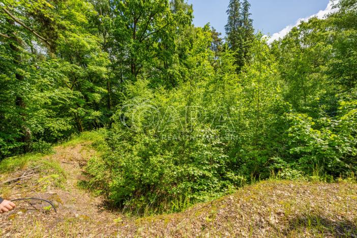 Prodej pozemku pro bydlení, Hrubá Skála, 5519 m2