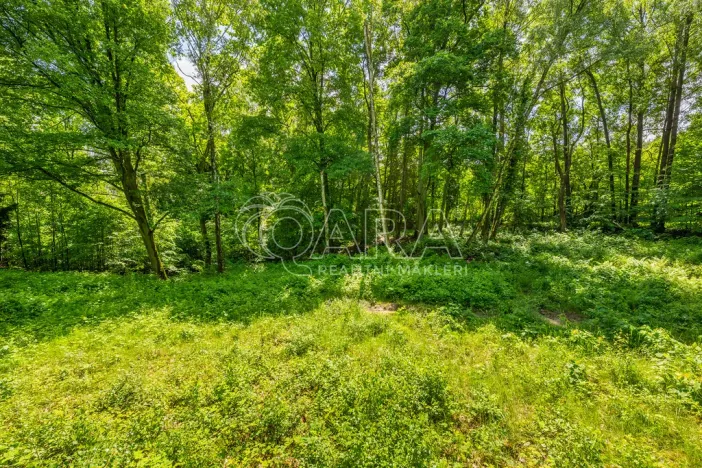 Prodej pozemku pro bydlení, Hrubá Skála, 5519 m2