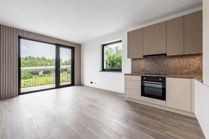 Pronájem bytu 2+kk, Praha, Na Zlíchově, 47 m2