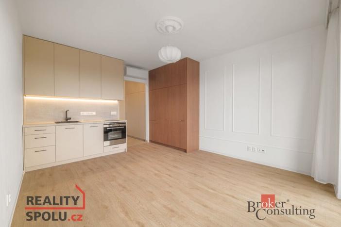 Pronájem bytu 1+kk, Plzeň - Jižní Předměstí, U Borského parku, 34 m2
