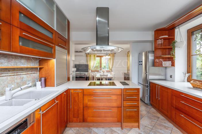 Prodej rodinného domu, Mladá Boleslav - Čejetice, Nová, 302 m2