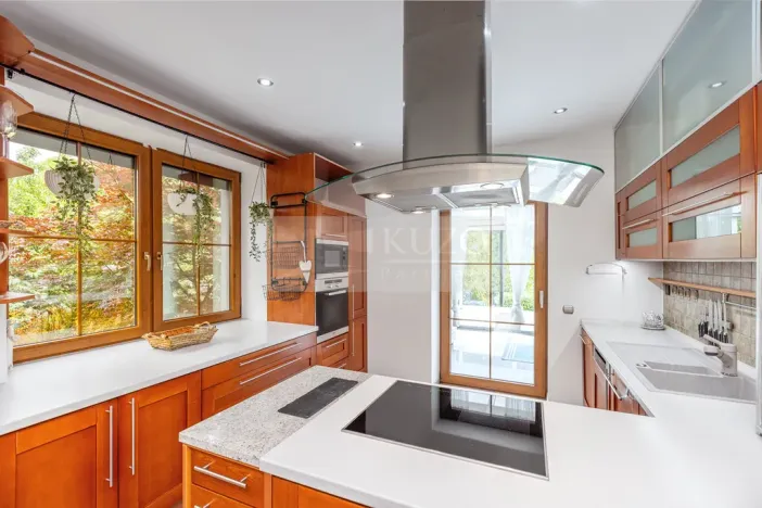 Prodej rodinného domu, Mladá Boleslav - Čejetice, Nová, 302 m2