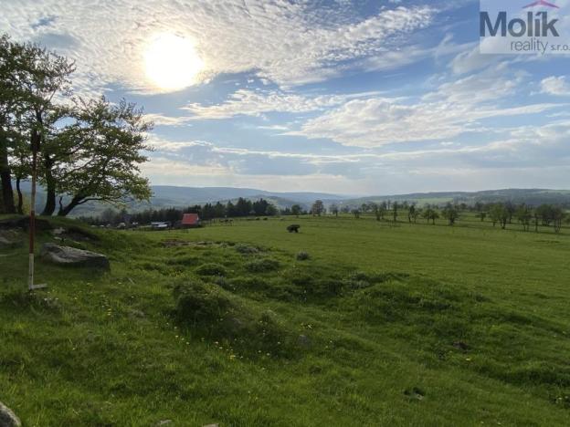 Prodej zahrady, Nová Ves v Horách