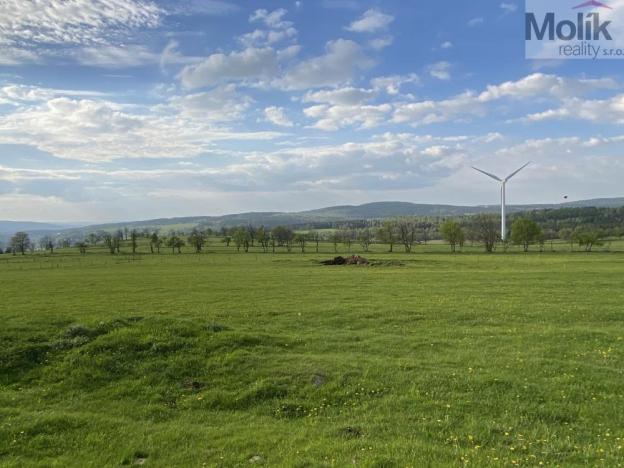 Prodej zahrady, Nová Ves v Horách