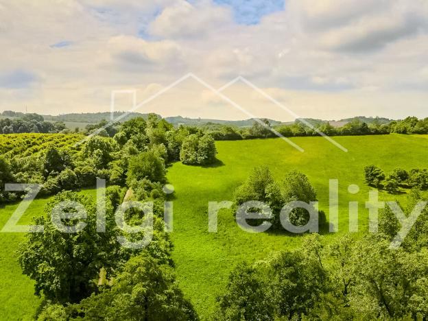 Prodej pozemku, Polom, 3929 m2