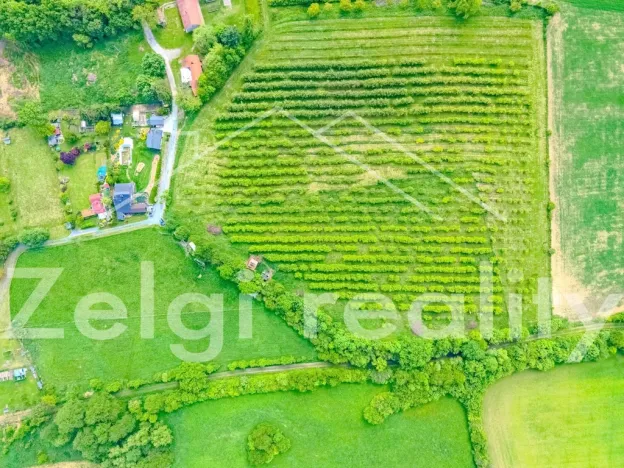 Prodej pozemku pro bydlení, Polom, 5462 m2