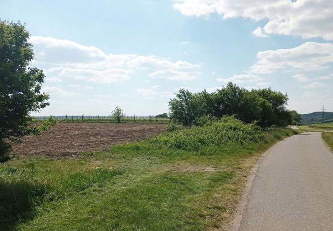 Prodej sadu/vinice, Sedlec, 21196 m2