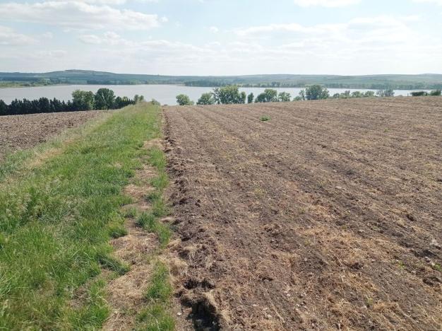 Prodej sadu/vinice, Sedlec, 21196 m2