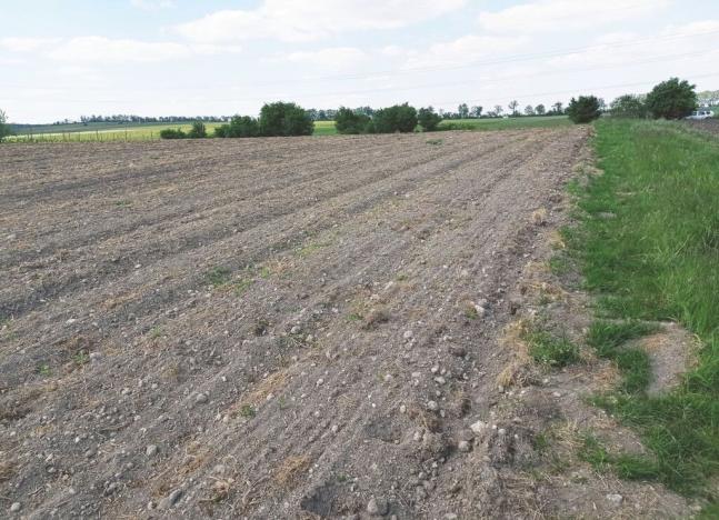 Prodej sadu/vinice, Sedlec, 21196 m2