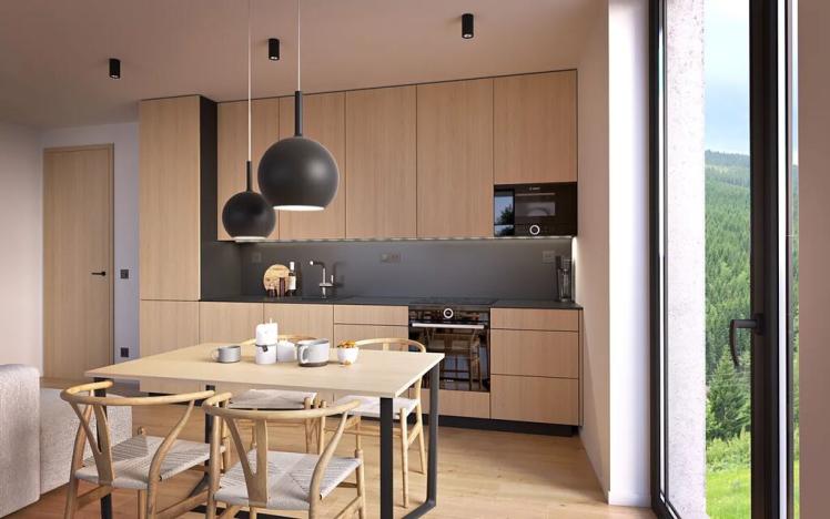 Prodej apartmánu, Dolní Morava, 56 m2