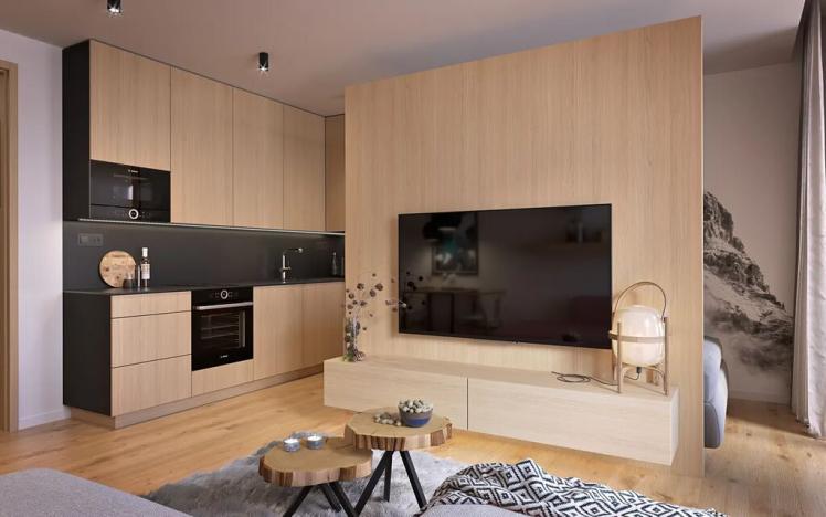 Prodej bytu 1+kk, Dolní Morava, 37 m2