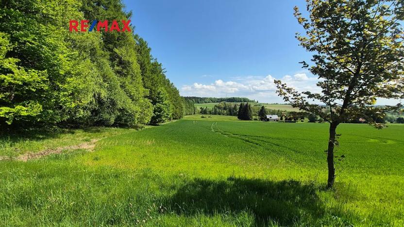 Prodej pozemku pro bydlení, Borová, 5776 m2