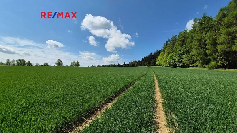 Prodej pozemku pro bydlení, Borová, 5776 m2