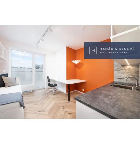 Pronájem bytu 1+kk, Brno, Chaloupkova, 21 m2