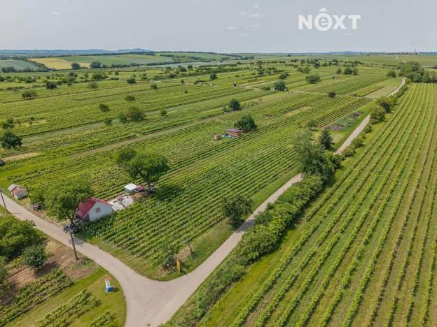 Prodej sadu/vinice, Prušánky, 2318 m2