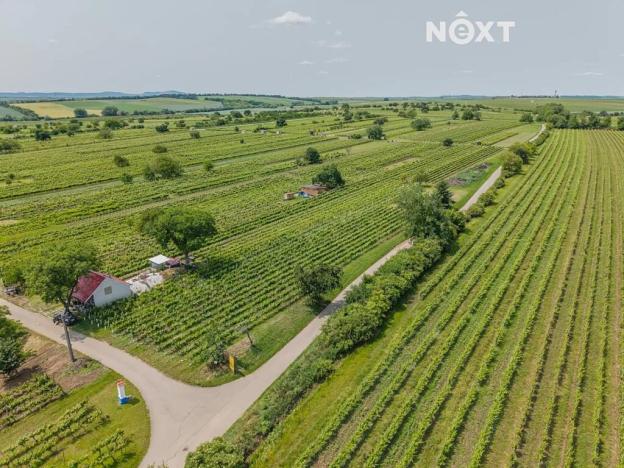 Prodej sadu/vinice, Prušánky, 2318 m2