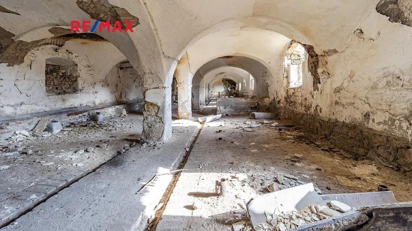 Prodej zemědělské usedlosti, Počedělice, 2500 m2