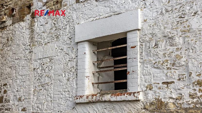 Prodej zemědělské usedlosti, Počedělice, 2500 m2