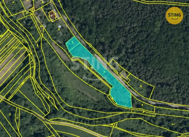 Prodej pozemku pro bydlení, Radějov, 3693 m2