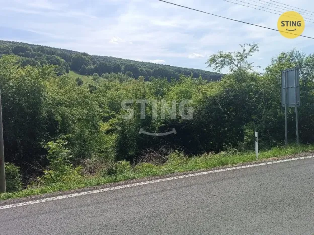 Prodej pozemku pro bydlení, Radějov, 3693 m2