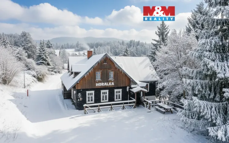 Prodej ubytování, Rokytnice nad Jizerou - Horní Rokytnice, 374 m2