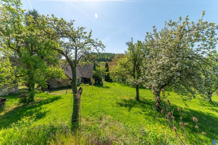 Prodej rodinného domu, Kostelany - Újezdsko, 136 m2