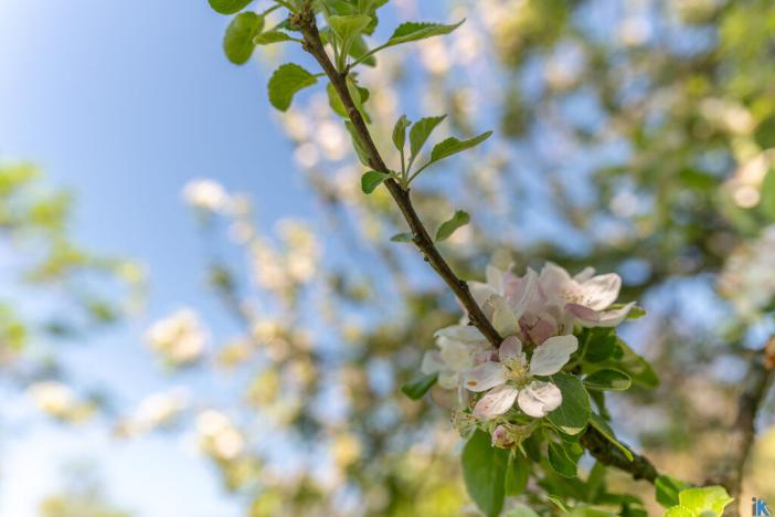 Prodej rodinného domu, Kostelany - Újezdsko, 136 m2