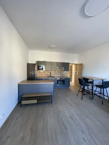 Pronájem bytu 2+kk, České Budějovice, 56 m2
