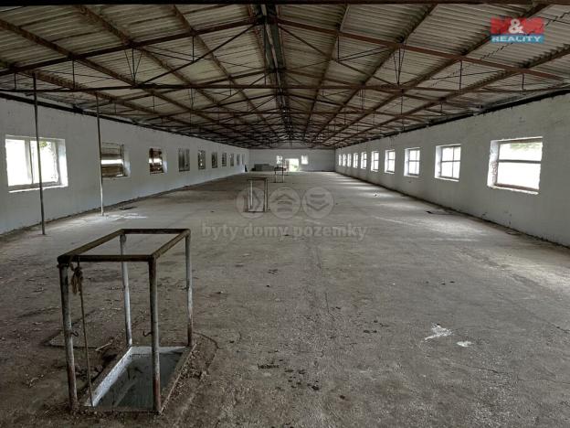 Pronájem skladu, Dešenice, 1320 m2