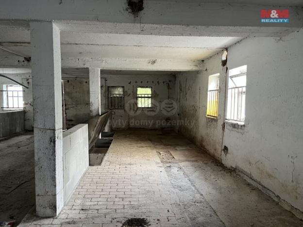 Pronájem skladu, Dešenice, 1320 m2