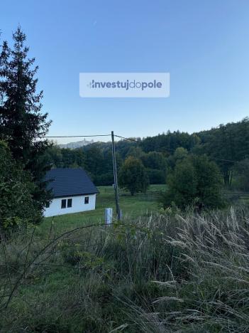 Prodej louky, Hrubá Skála - Doubravice, 2240 m2