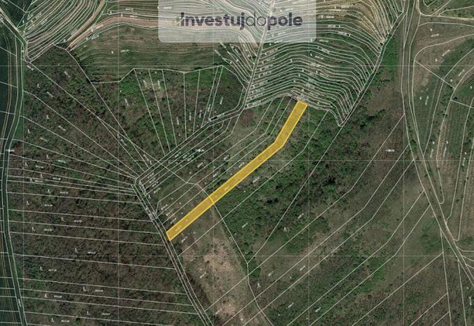 Prodej pole, Hustopeče, 1770 m2