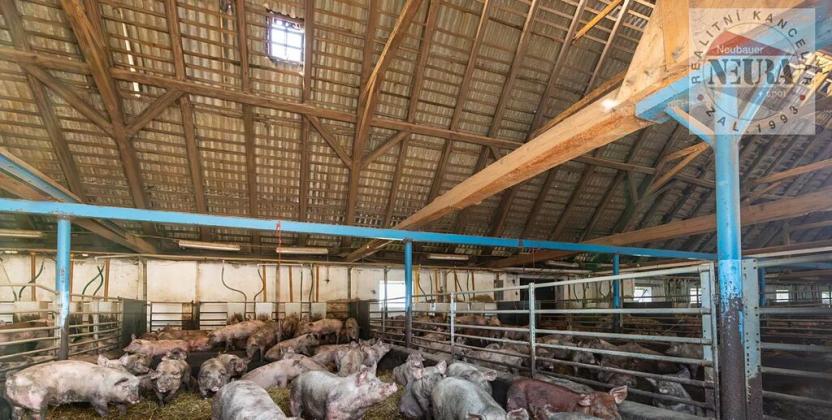 Prodej zemědělského objektu, Okrouhlice, Valečov, 12145 m2