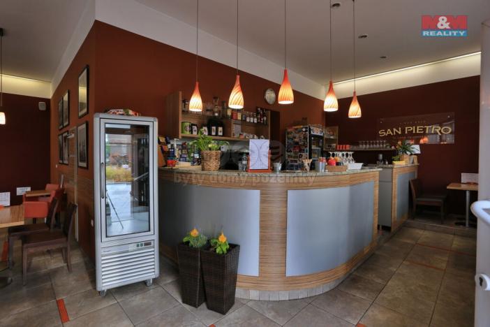 Pronájem obchodního prostoru, Český Těšín, 118 m2