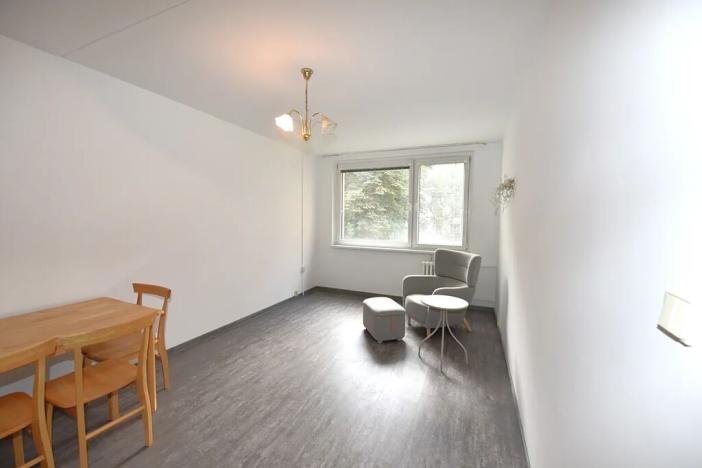 Pronájem bytu 2+kk, Praha - Žižkov, Přemyslovská, 46 m2